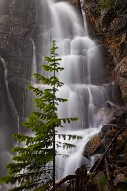 ponderation:  Bell Canyon Falls by Ken Brown 