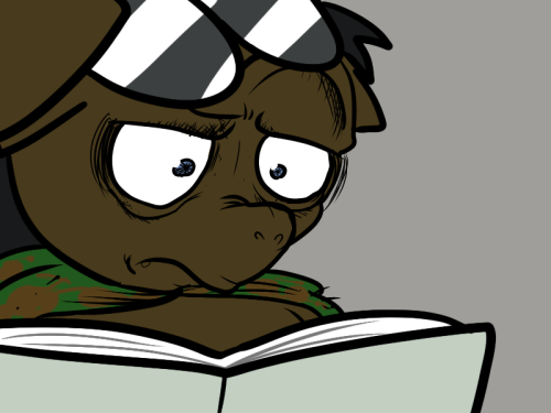 ponyhidden:  WAT