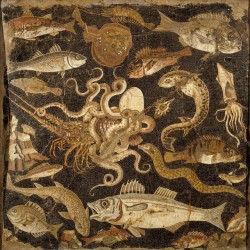 design-is-fine:Fish Mosaic, Pompeii, Casa