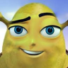 beemovieerotica:the wwdits subreddit is very good 