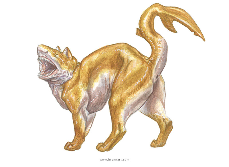 dr-archeville:  Shark Cats: Portraits of Terror by Brynn Metheney [source] Basking