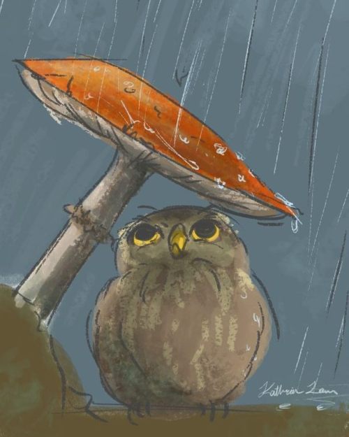 A drawing from earlier this week I forgot to post. A loose study/sketch #owl #sketch #rain #rainyday