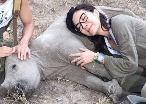 alexromero:Michelle Yeoh + queen of the animals