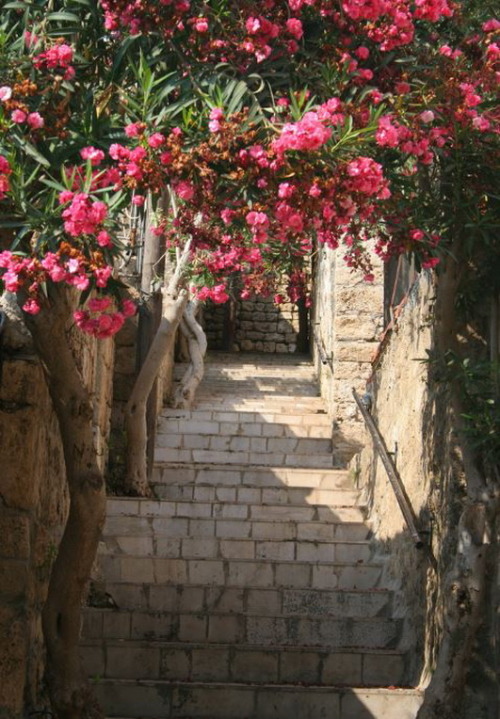 On the ancient streets of Byblos, northern Lebanon (by madmonk).