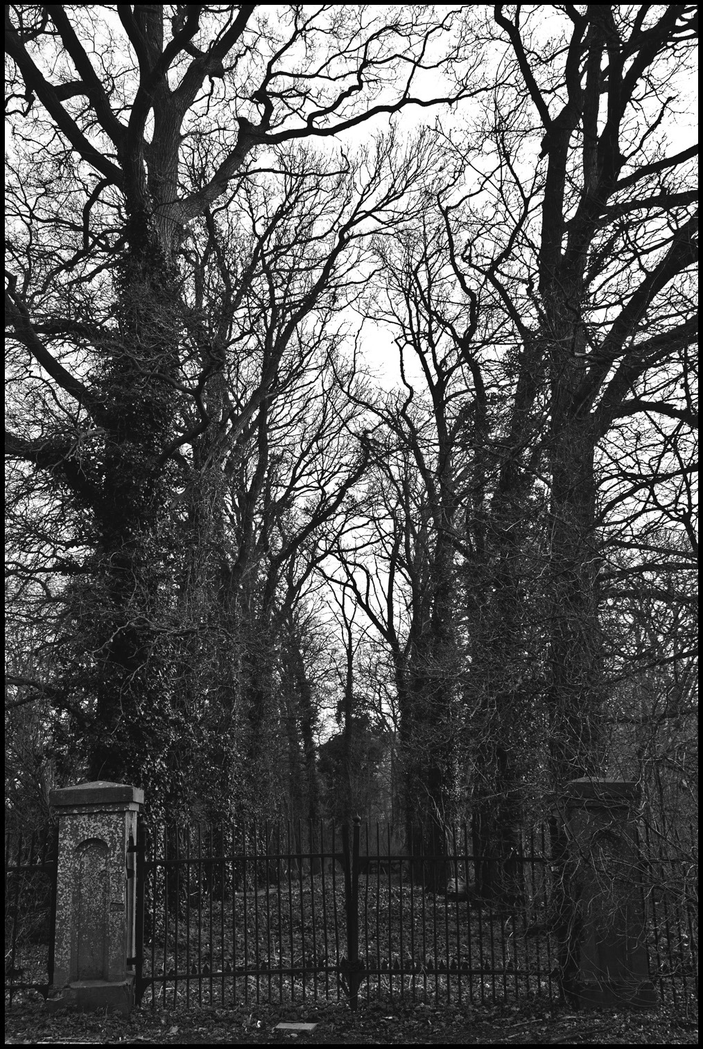 theodorversteegen:  Closed Gate by Theodor Versteegen - 2015 