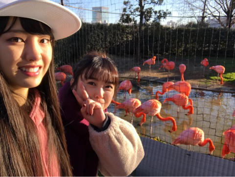 #恋は雨上がりのように #上野動物園 #シャンシャン #ルパンイエロー 飯窪春菜｜モーニング娘。‘18 天気組オフィシャルブログ Powered by Ameba