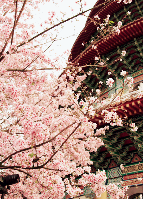phuonguyenx3:  credit 