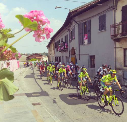 girogram:  #giroditalia #gruppomagliarosa by pove75 ift.tt/20GcRF3