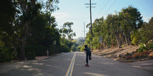 labellesaison: 20th Century Women (2012) dir. Mike Mills
