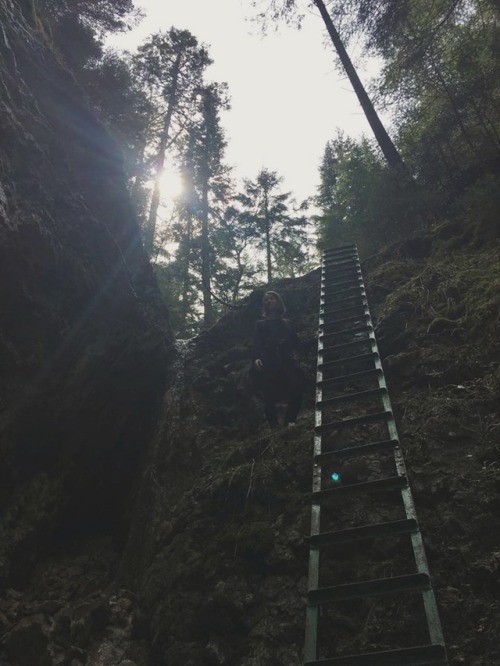 Spring IIAprilHaving real sarcastic fun in Slovak paradise National park. BTW: I discovered my 