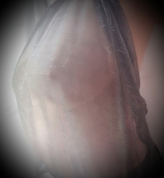 claimedjane:  Oh what a tangled web we weave