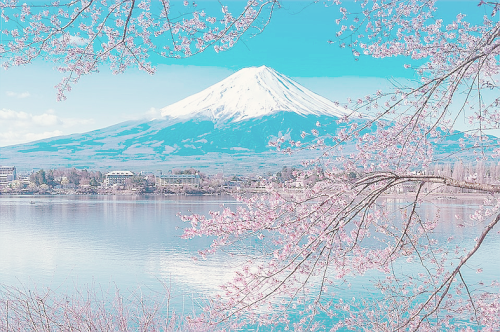 rainingteadrops:  春夏秋冬の富士山 (by 长腿叔叔) 