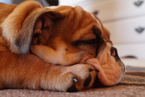 So many colors and so many wrinkles!