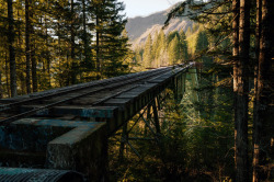 thewanderingbison:  The Vance Creek Bridge,