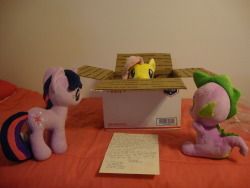 slice-of-life-twilight:Twilight: FLUTTERSHY! Fluttershy: T…Twilight? Spike? Spike: Fluttershy! What are you doing here? Fluttershy: Um…I-I decided to see this world a while ago…I got some of your letters, and, um, human animals sounded really