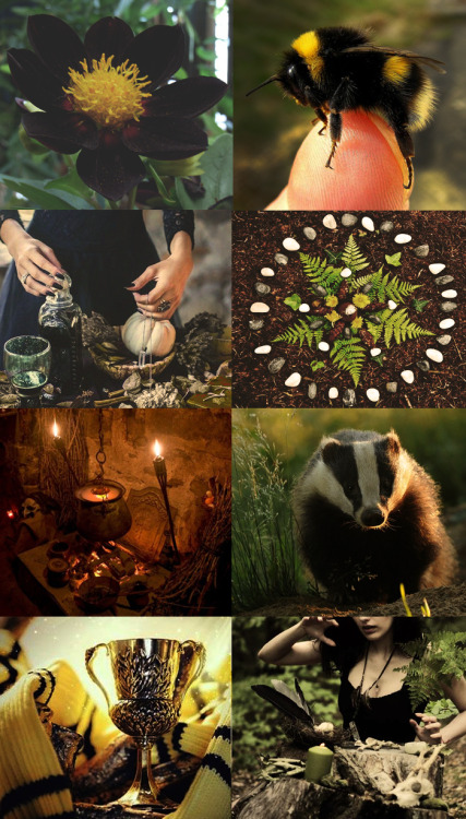 xtoxictears: HufflepuffAll ten of my first sets~