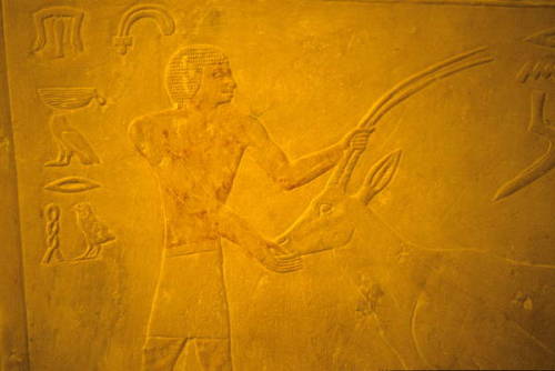 Relief depicting male figure with an antelope, from the Mastaba (tomb) of Ptahhotep and Akhethotep. 