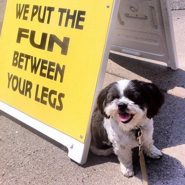 Well that’s just inappropriate Maggie. minneapolis reascuedogcopilot