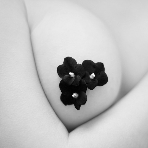 imickeyd: Bobi Kostadinov - Fragments
