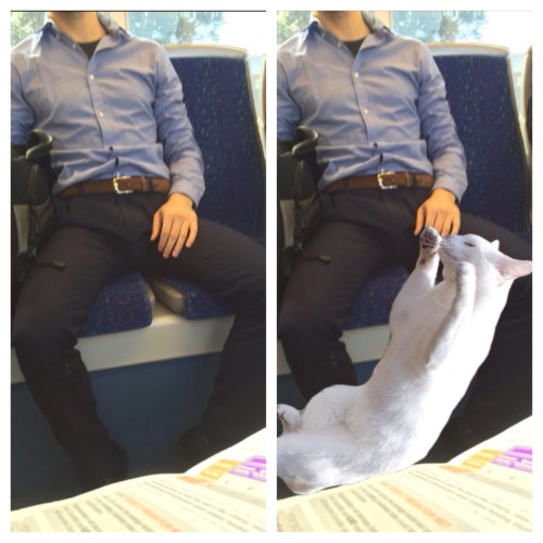 Awesome Tumblr Alert! Saving Room For Cats“Men love to take up so much space and spread their legs w