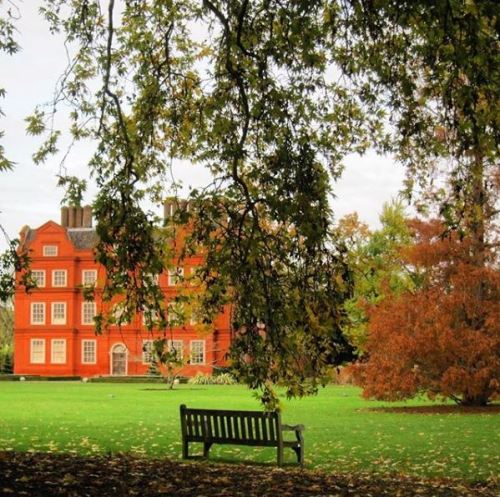 #Autumn is descending on the palaces. Our favourite #PalacePhotos this week include Kensington 