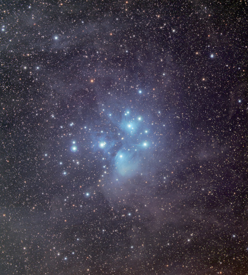 wonders-of-the-cosmos:M45: The Pleiades Star ClusterCredit: Phillip L. Jones VisualUniverse.org