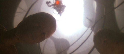 Fire in the Sky (1993)