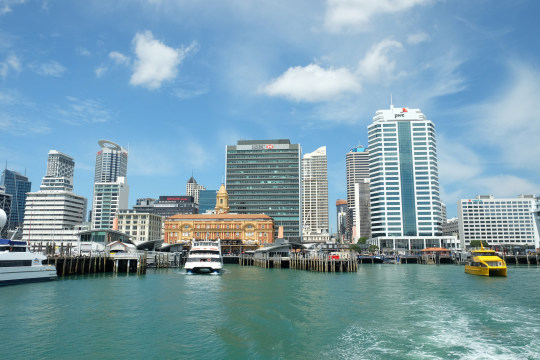 auckland harbour