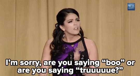 smatter:  micdotcom:  Watch: Cecily Strong absolutely destroyed at the White House Correspondents Dinner. Seriously, the whole thing is incredible.   I didn’t realize it was going to be a roast to all of America but im definitely not upset
