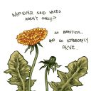zilarsonwrites - Writing My Dreams