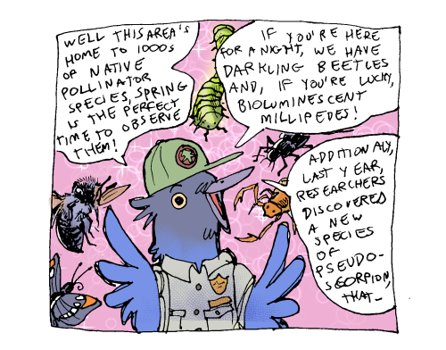 bedupolker:Support your local park rangers Damn I feel like this when I end up on a bug rant.