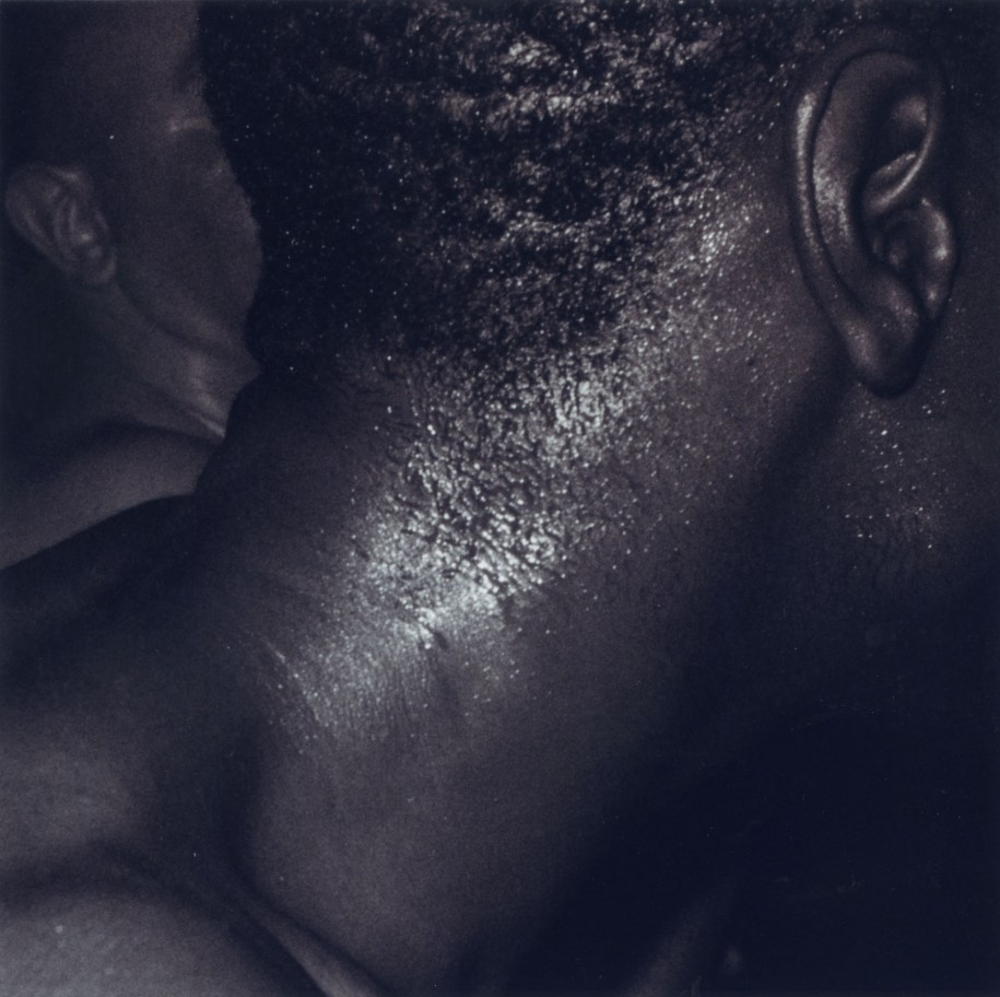 kradhe:  Wolfgang Tillmans, from Chemistry Squares, 1992.  