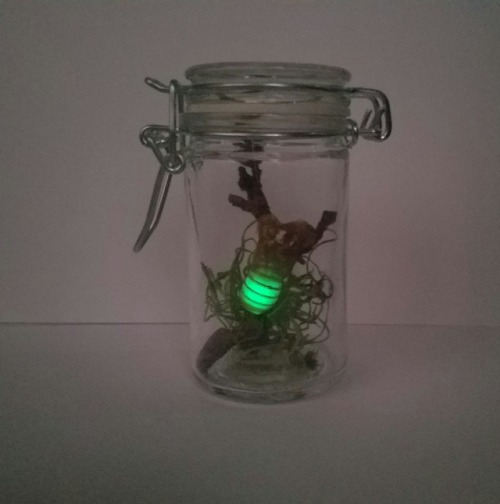 I made a two headed glow in the dark cicada! I wanted to get this one in a few different light opti