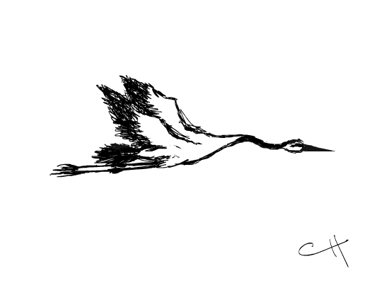 Scratchy Af Rough Ass First Attempt At Animating