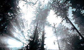 tumblr_pf0uwzrTVJ1r0msi2o4_r8_400.gif
