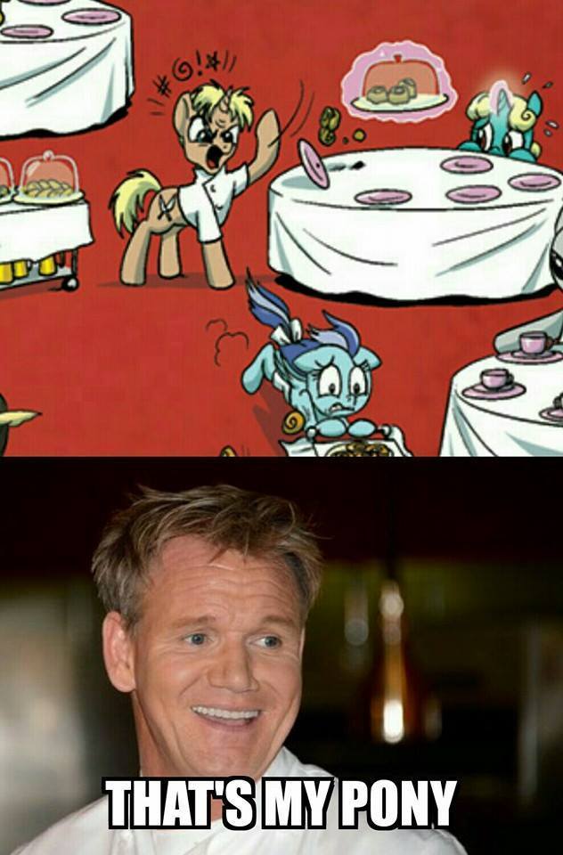 the-don-jesus:  We need more Chef Ramsey pony.