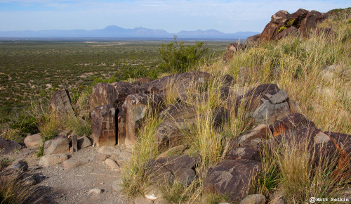 nolonelyroads: Three Rivers Petroglyph Site 1, NM