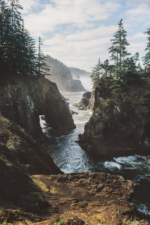 Earth be wildin. Happy Earth Day Part II : Landscape, here.Olympic National Park, Washingt