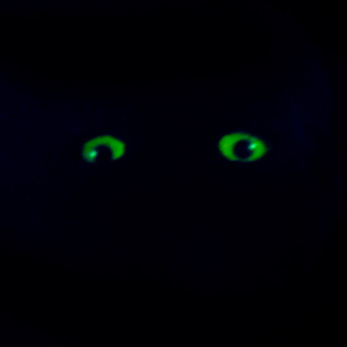 Suspiria (1977) Dario Argento