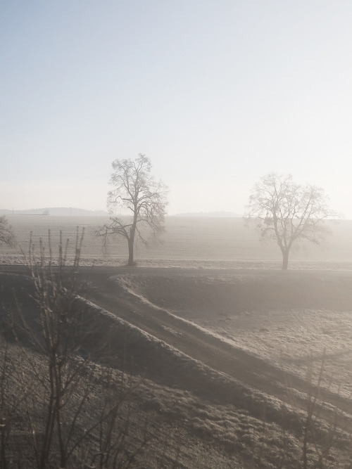 Krajina / Landscape, 31. 12. 2020