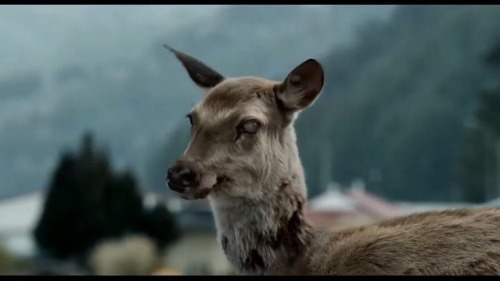 While Editing Toby, Ive Decided That He Is Literally A Deer With Chronic Wasting Disease And NOBODY Can