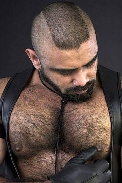 hairystylz:  W♂♂F“The Hairier The Merrier”