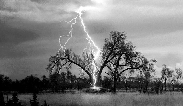 Exploding trees When trees are struck by lightning, usually a strip of bark is blown