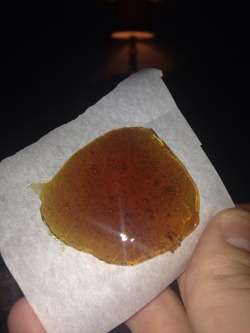 smokingonabong:  Scooby Snacks Live Resin