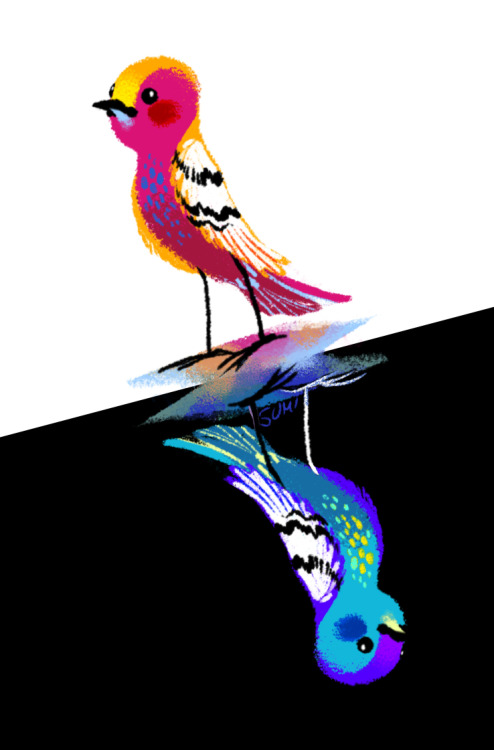 Decembird #3: colorful!