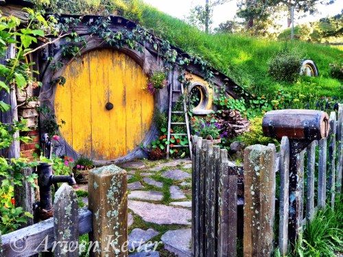 This is it, folks. This is the last of my Hobbit hole photos, and it happens to be one of my persona