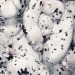 worldssmallesttrampoline:🐶 Piles of Dalmation puppies. 