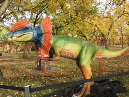 Went to Jurassic Festival today! It had some pretty cool animatronics :D &frac12;