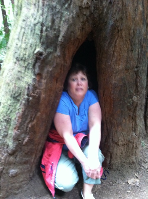 sluttyoliveoil:one time my mom got stuck in a tree