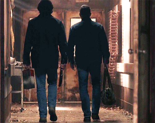 kissablesam:Winsync as the boys walk away //Alpha and Omega